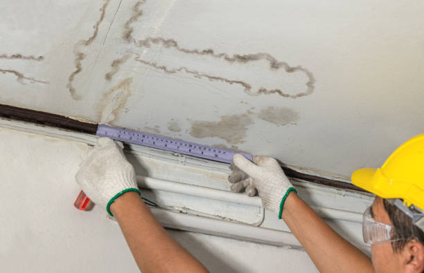 Reliable Sewage Cleanup contractor in Newark, OH by Water Damage Irwin